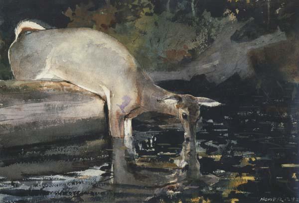 Winslow Homer Deer Drinking (mk44) Sweden oil painting art